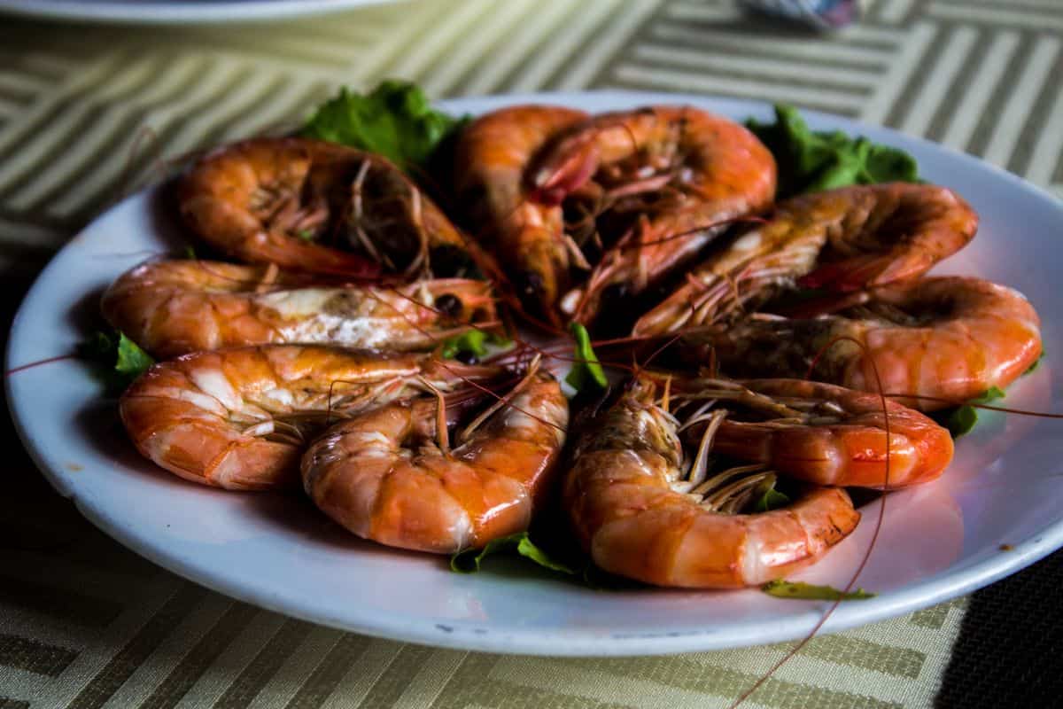 Assiette de crevettes, un fruit de mer riche en protéines