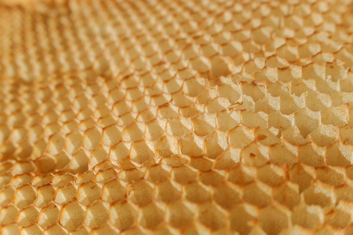 Rayon de cire d'abeille doré, produit de la ruche