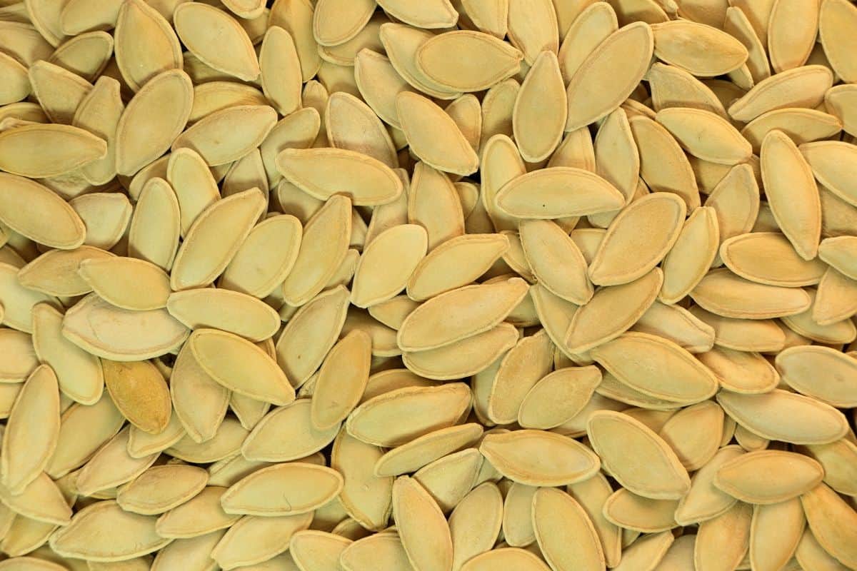 Graines de courge, source de zinc