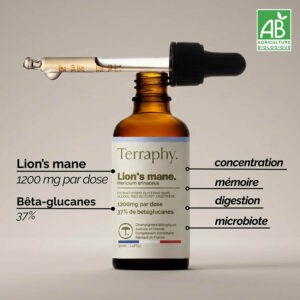 Extrait de Lion's Mane bio Terraphy